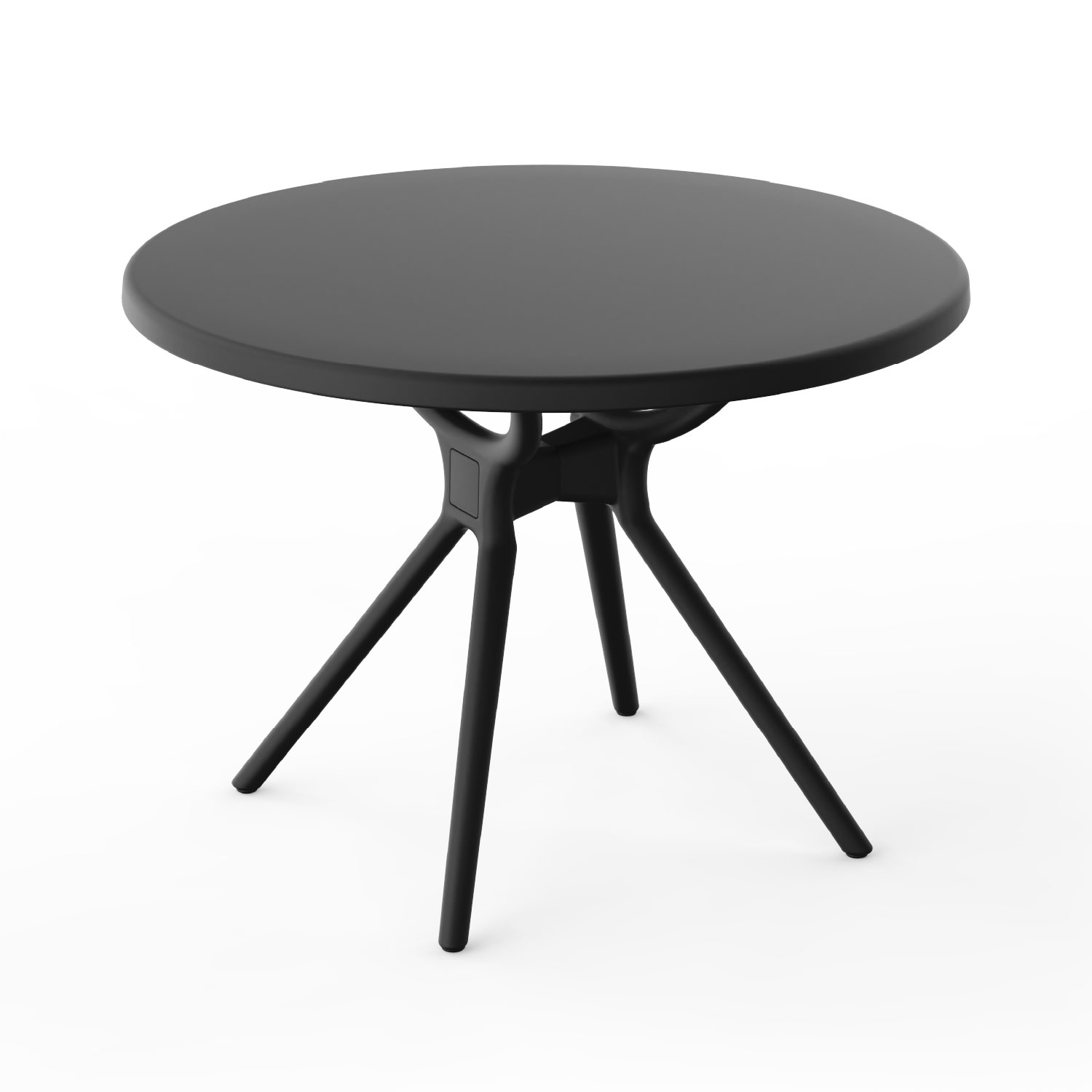 Himalaya Round Table